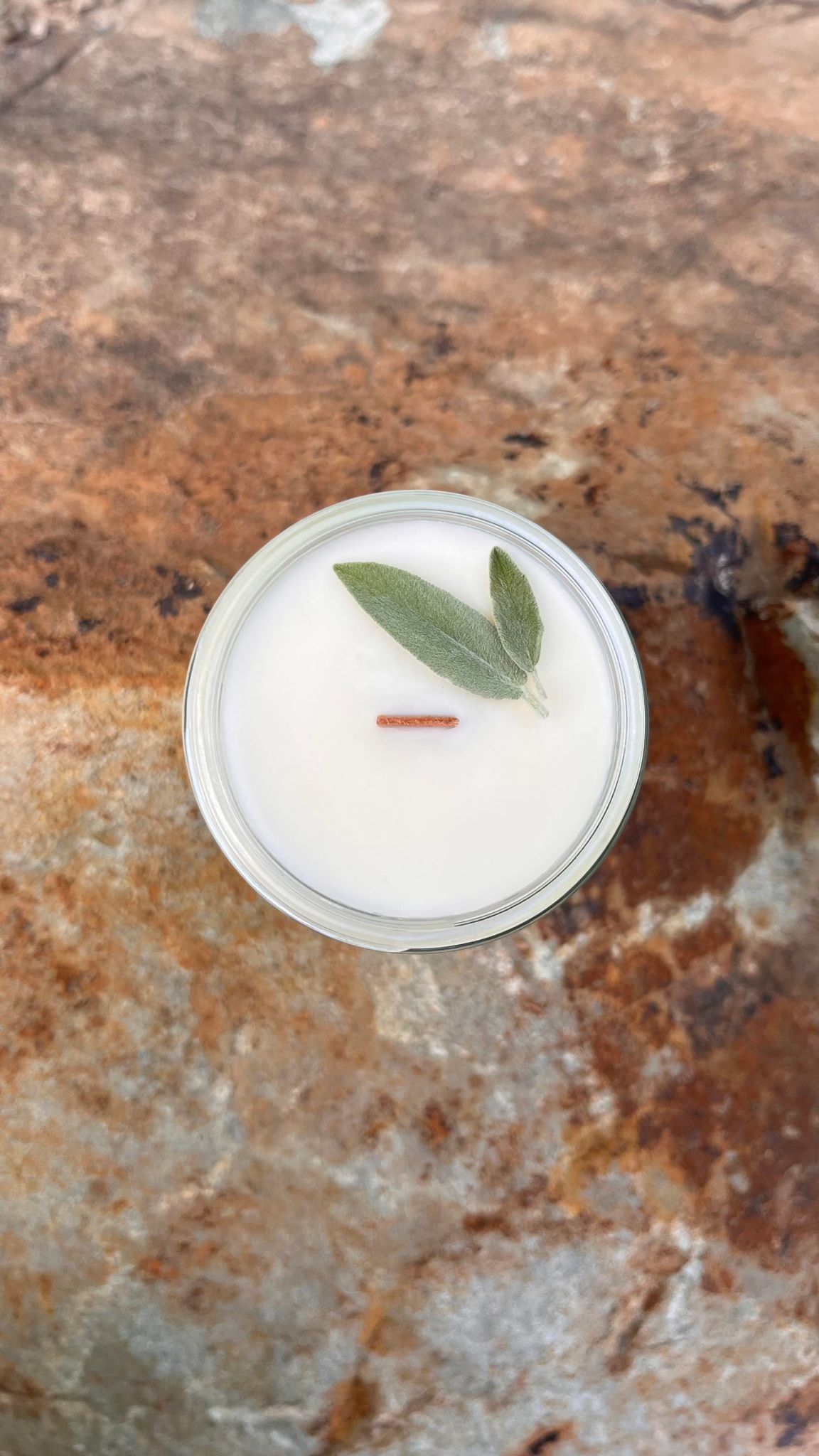 CHÊNE DES NEIGE + SAUGE