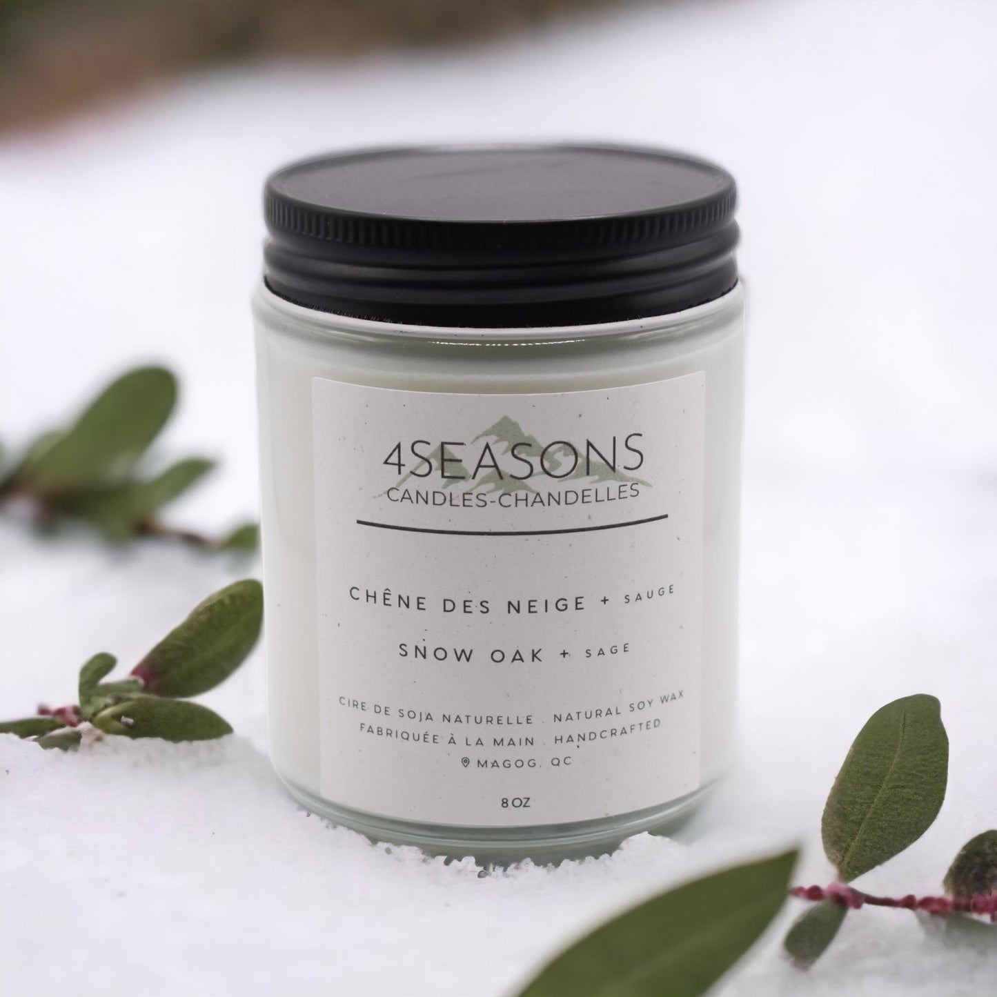 CHÊNE DES NEIGE + SAUGE